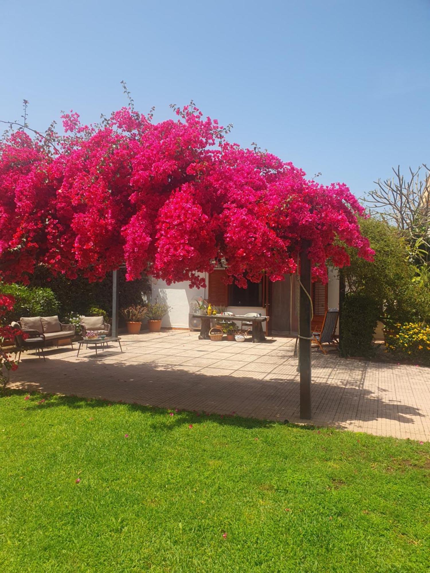 La Depandance Di Villa Rosa Locazioni Brevi Mondello Exteriör bild