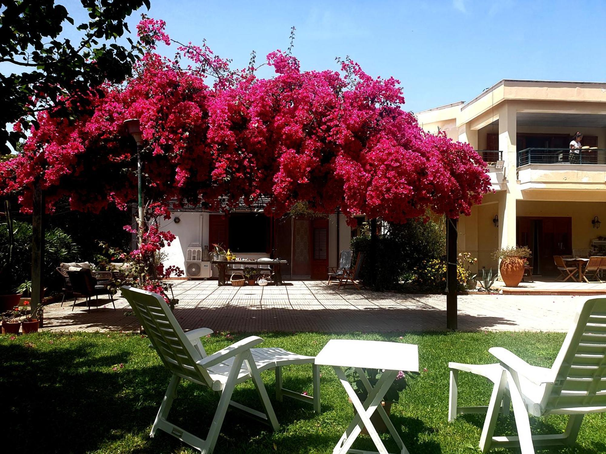 La Depandance Di Villa Rosa Locazioni Brevi Mondello Exteriör bild